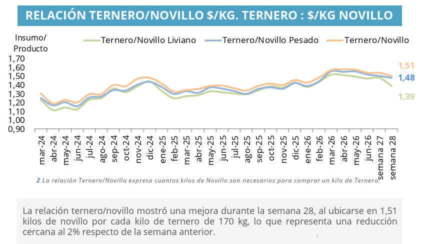 Mercado de Invernada, Ternero, Novillo