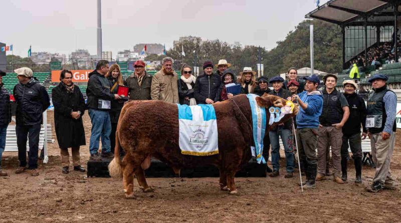 Limangus, Expo Rural de Palermo 2026