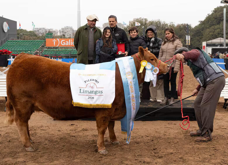 Limangus, Expo Rural de Palermo 2026