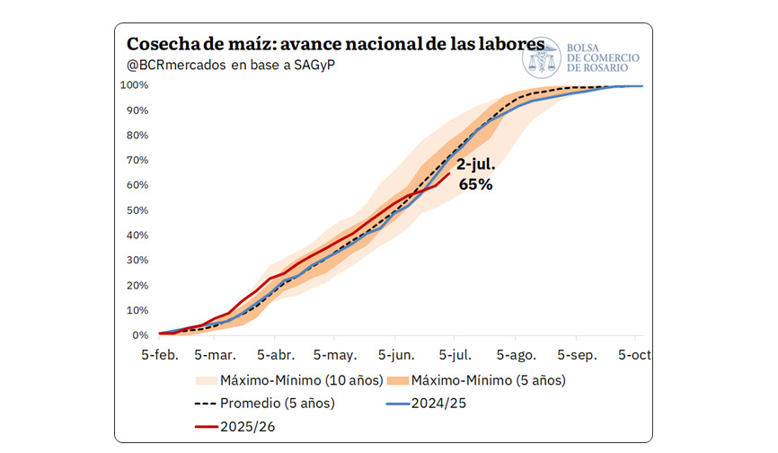 Maíz, Cosecha