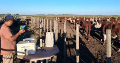 Medicamentos Veterinarios, Ganadería
