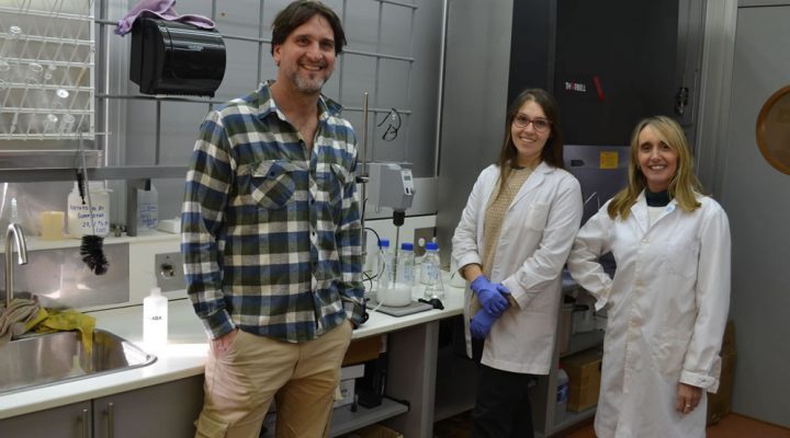 Nanotecnología, Ciencia, Conicet