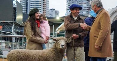 Nicolás Pino, Expo Rural 2026