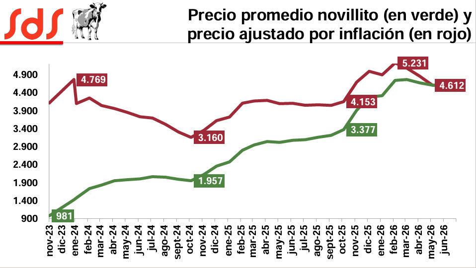 Novillito, Precio