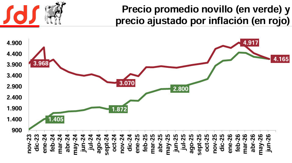 Novillo, Precio