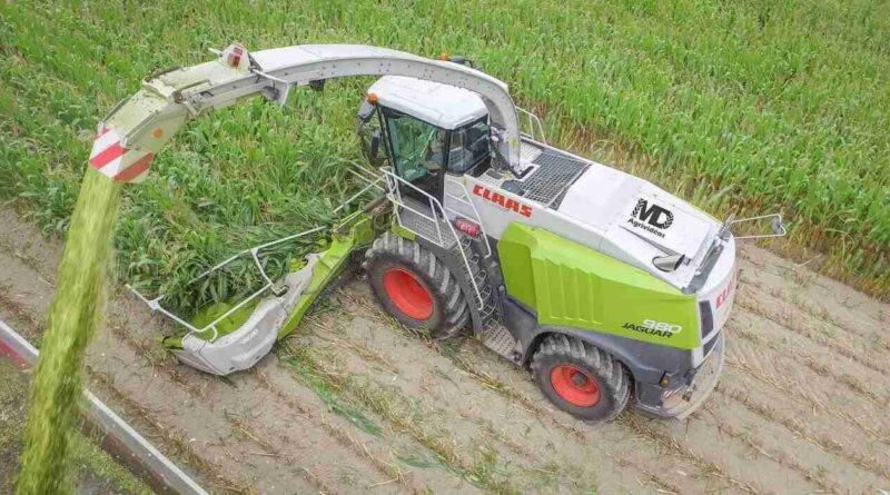 Picadora, Claas, Jaguar 1200, maquinaria agrícola