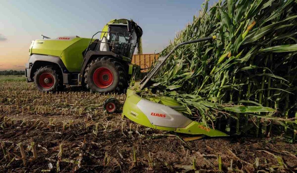 Picadora, Claas, Jaguar 1200, maquinaria agrícola