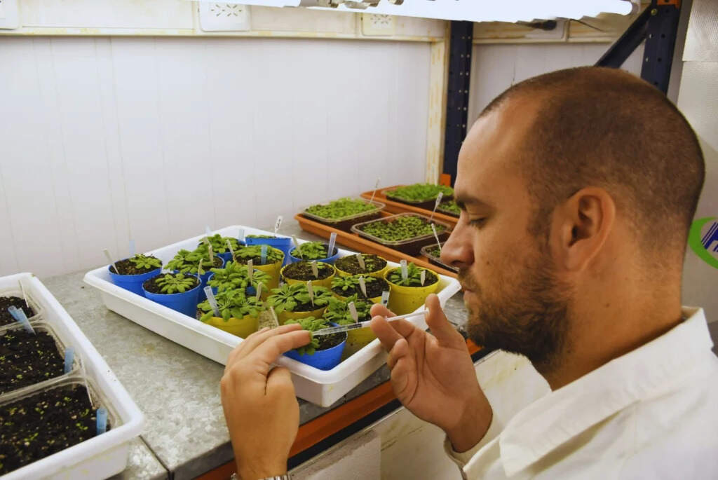 Plantas, Ciencia, Defensas