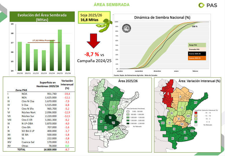 Soja, Siembra, Campaña 2025/26