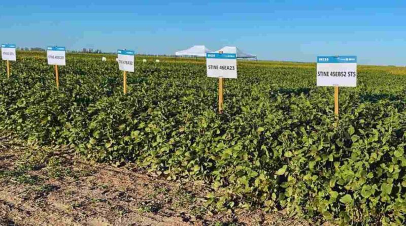 Soja, RECSO, Genética, INTA, Agricultura