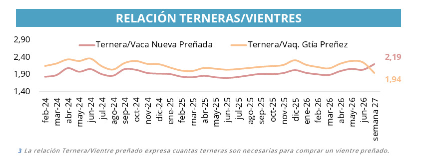 Ternera, Vientres, Cría