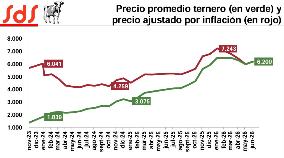 Ternero, Precio