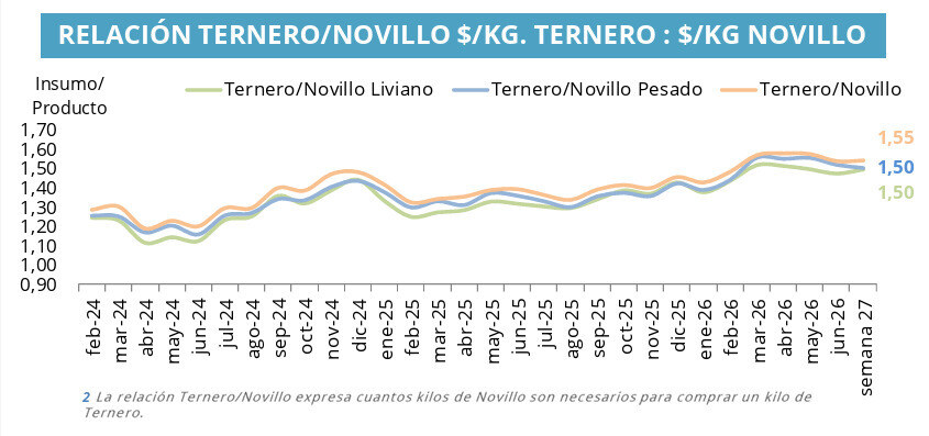 Ternero, Novillo
