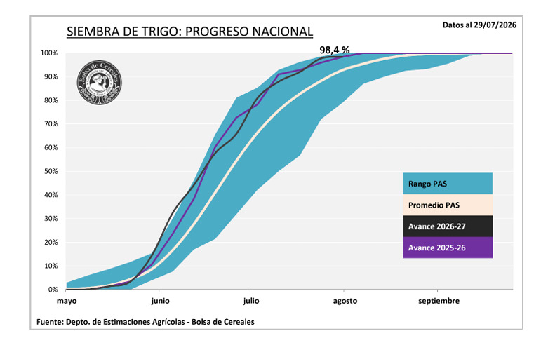 Trigo, Siembra