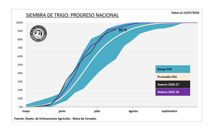 Trigo, Siembra