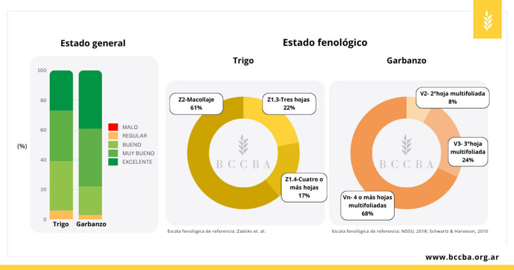 Trigo, Garbanzo, Santiago del Estero