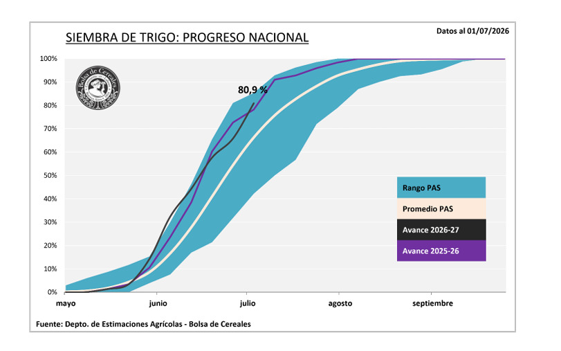 Trigo, Siembra, Campaña 2026/27