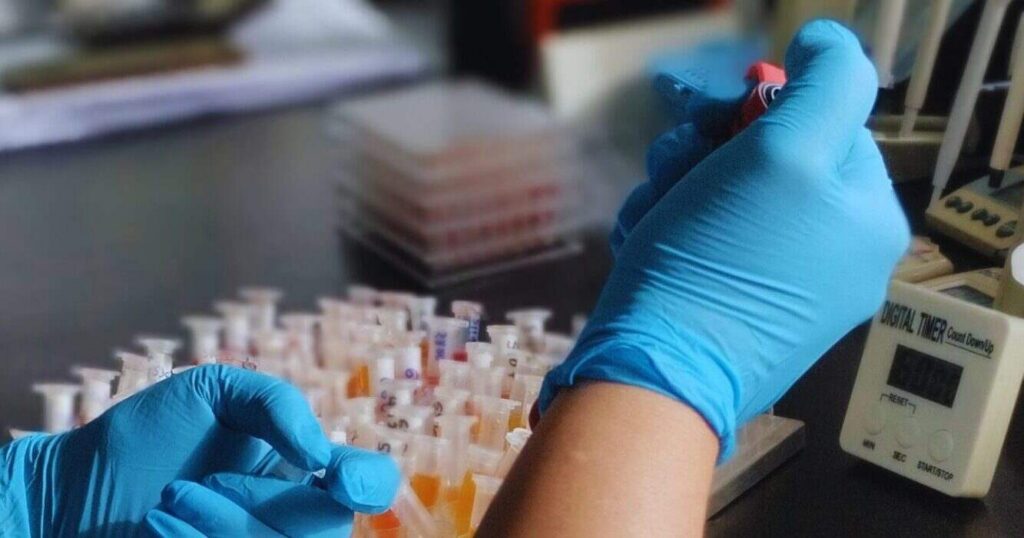 Tristeza Bovina, INTA, Vacunas, Laboratorio, Ciencia, Sanidad