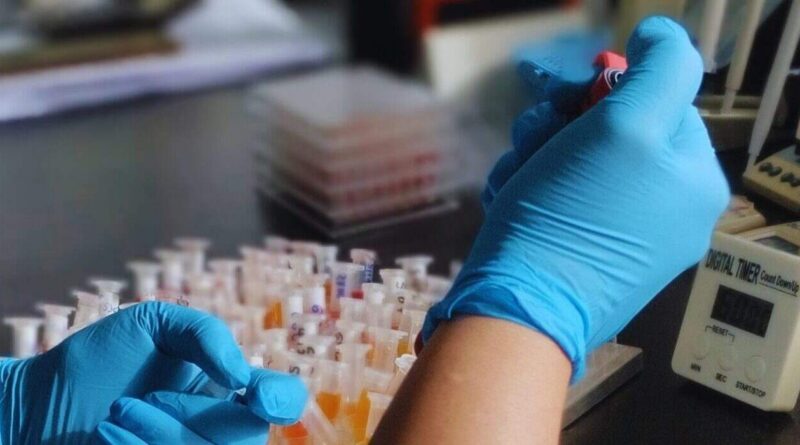 Tristeza Bovina, INTA, Vacunas, Laboratorio, Ciencia, Sanidad
