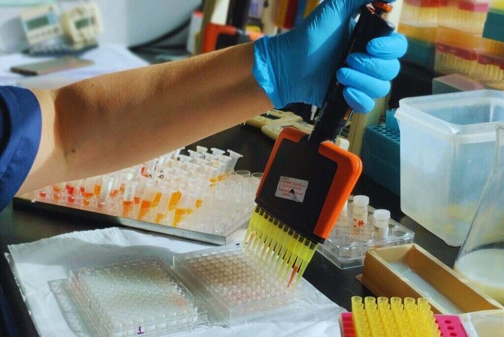 Tristeza Bovina, INTA, Vacunas, Laboratorio, Ciencia, Sanidad