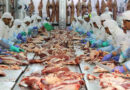 ArreBeef, Frigorífico, Carne Vacuna