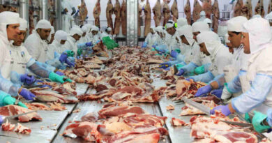 ArreBeef, Frigorífico, Carne Vacuna