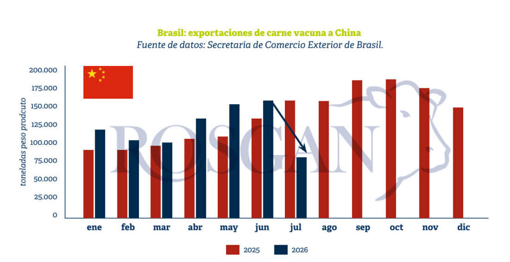 Brasil, exportaciones de carne vacuna, China