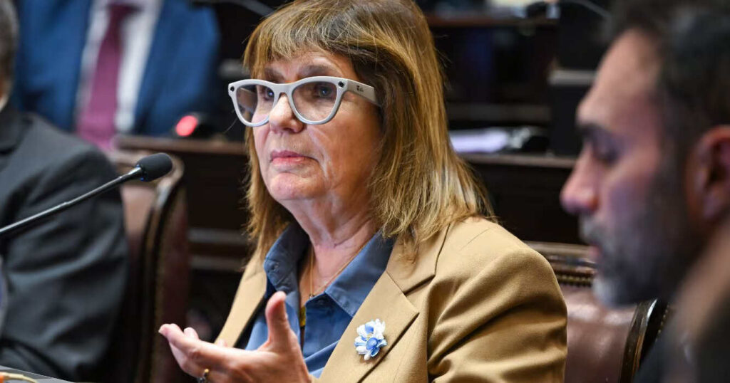 Patricia Bullrich, Ley de Tierras
