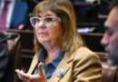 Patricia Bullrich, Ley de Tierras