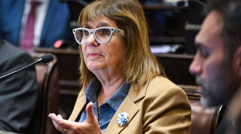 Patricia Bullrich, Ley de Tierras