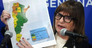 Patricia Bullrich, Ley de Tierras