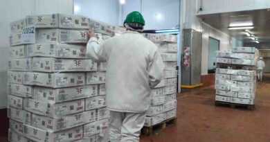 Carne, Córdoba, Exportación, Exportaciones