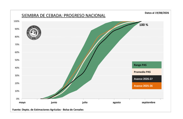 Cebada, Siembra