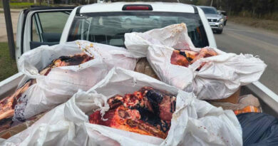 Córdoba, carne decomisada