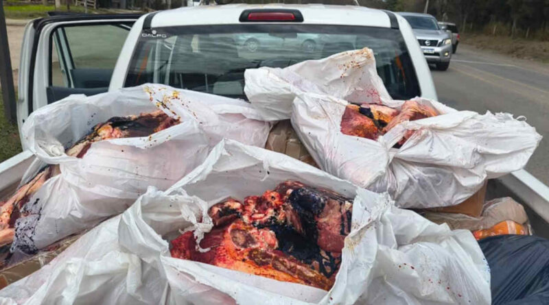 Córdoba, carne decomisada