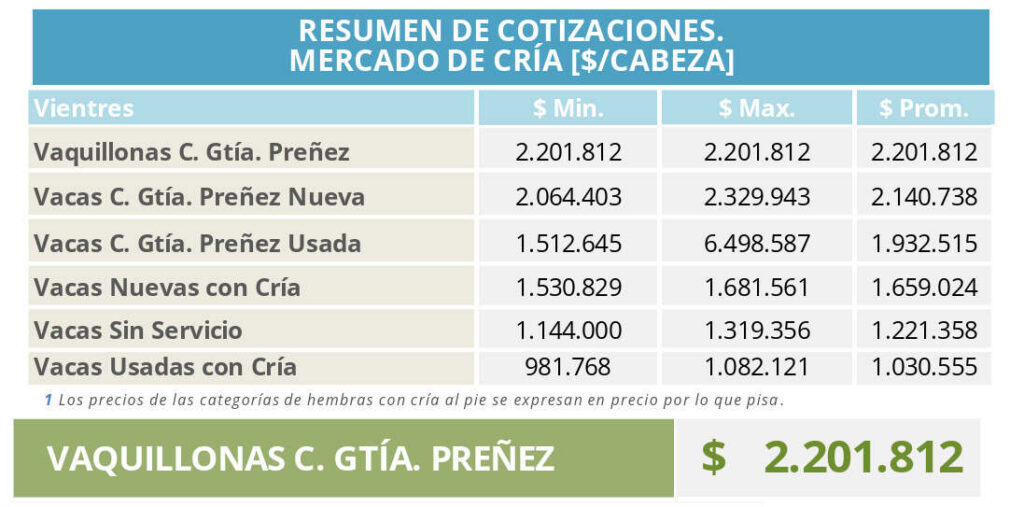 Mercado de Cría, Ganadería