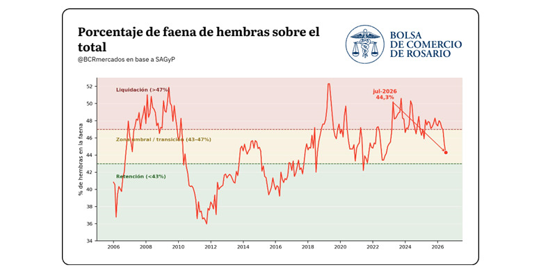 Faena, Hembras