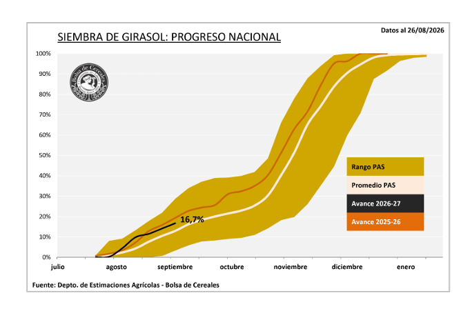Girasol, Siembra