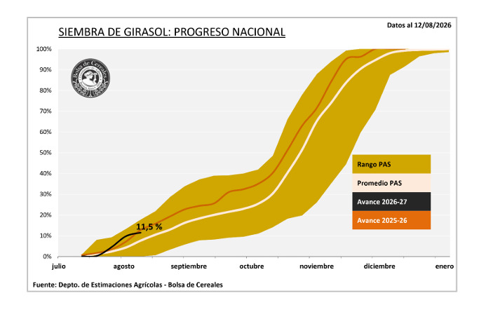 Siembra de Girasol