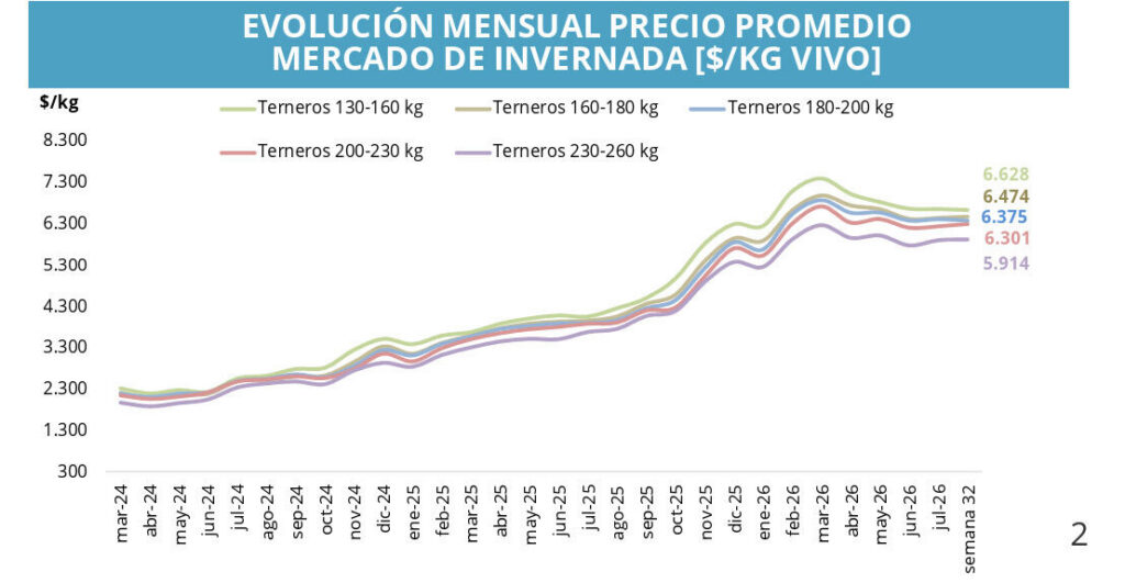 Mercado de Invernada