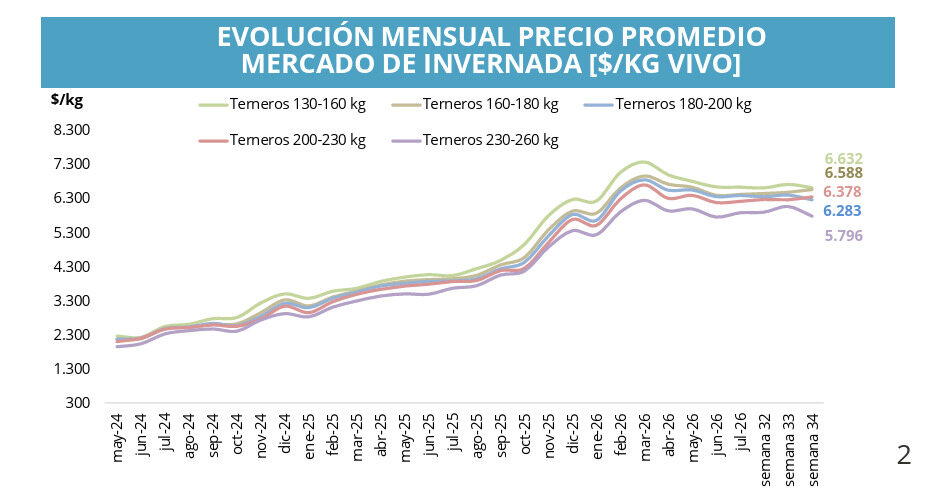 Mercado de Invernada