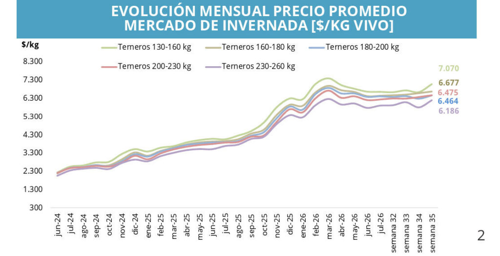 Mercado de Invernada, Ganadería