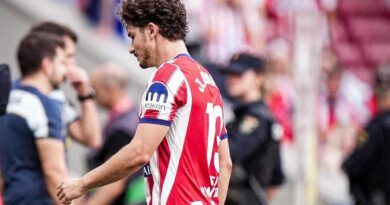 Julián Álvarez, Atlético Madrid