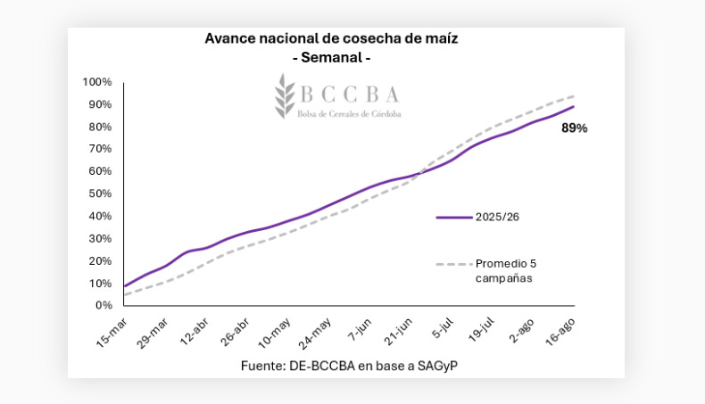 Maíz, Argentina, Cosecha