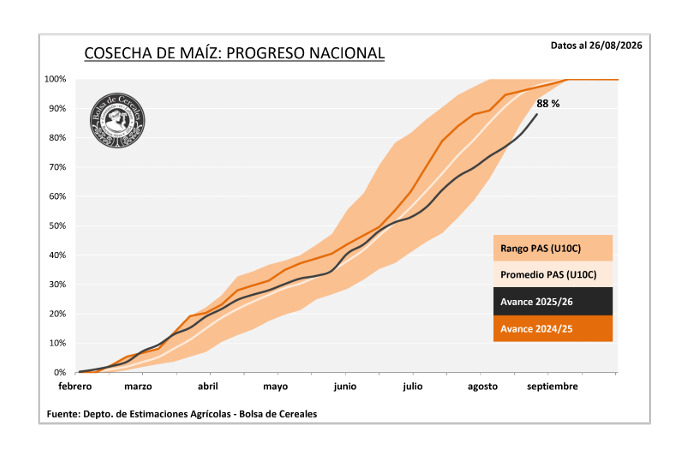 Maíz, Cosecha