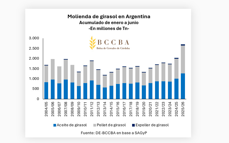 Molienda, Girasol