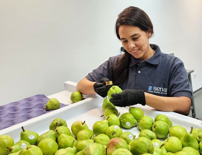 Peras, Frutas, Senasa