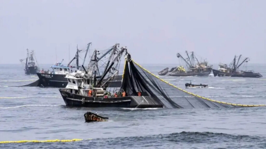 Pesca ilegal, pescados, barco