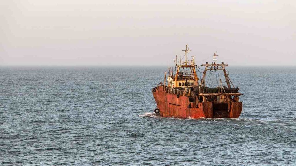 Pesca ilegal, pescados, barco