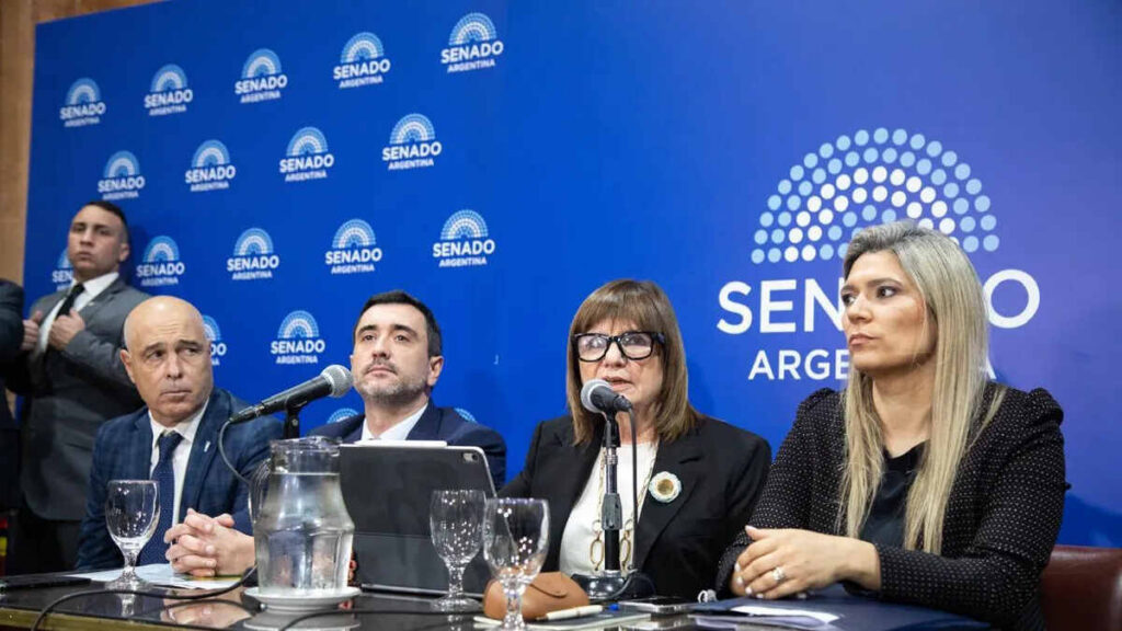 Ley de Propiedad Privada, Senado, Patricia Bullrich